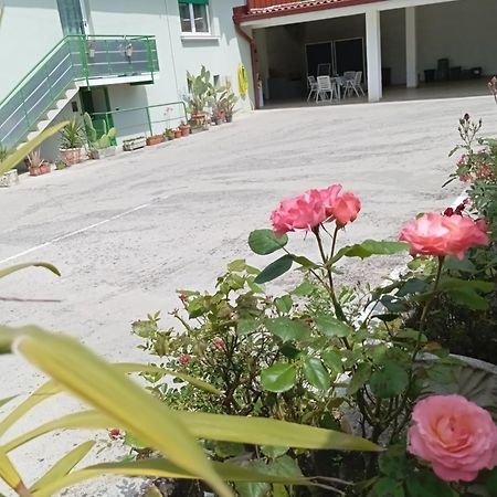 Gorizia Vacanze Appartamento In Villa Con Parcheggio Extérieur photo