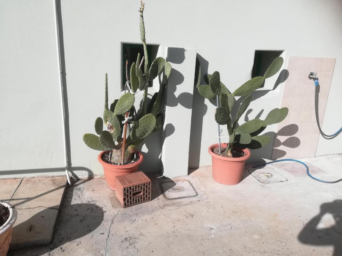 Gorizia Vacanze Appartamento In Villa Con Parcheggio Extérieur photo